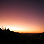The skies