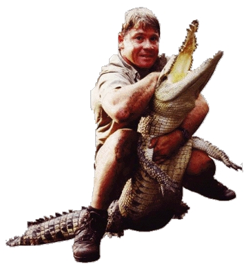 steve-irwin-2.JPG