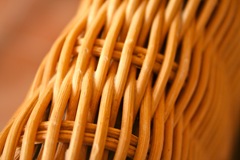 IMG_4692