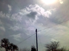 03-05-06_1235