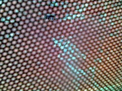 04-05-06_1333