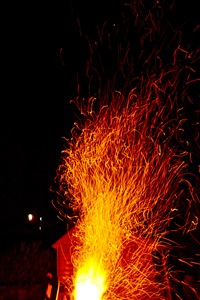IMG_6201