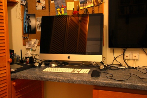 IMG_3981 IMG_3981