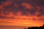 IMG_2209