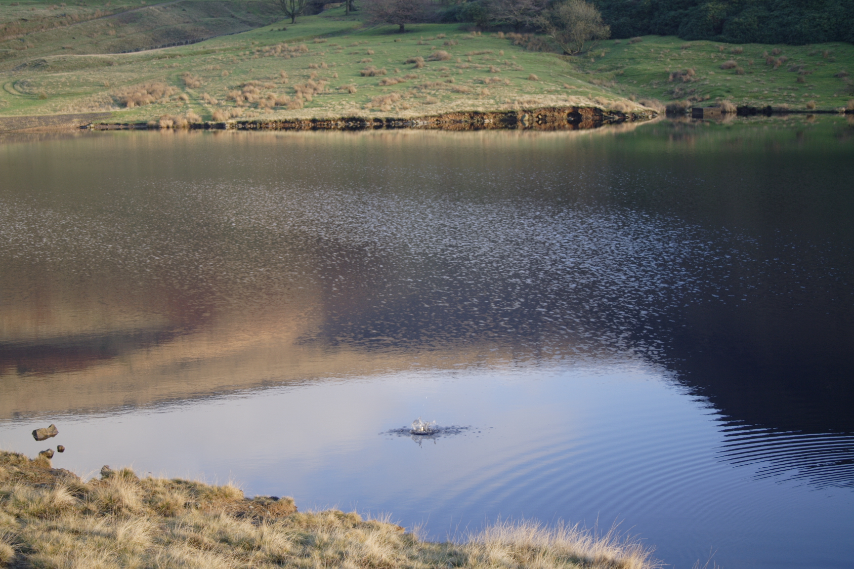 dovestones035