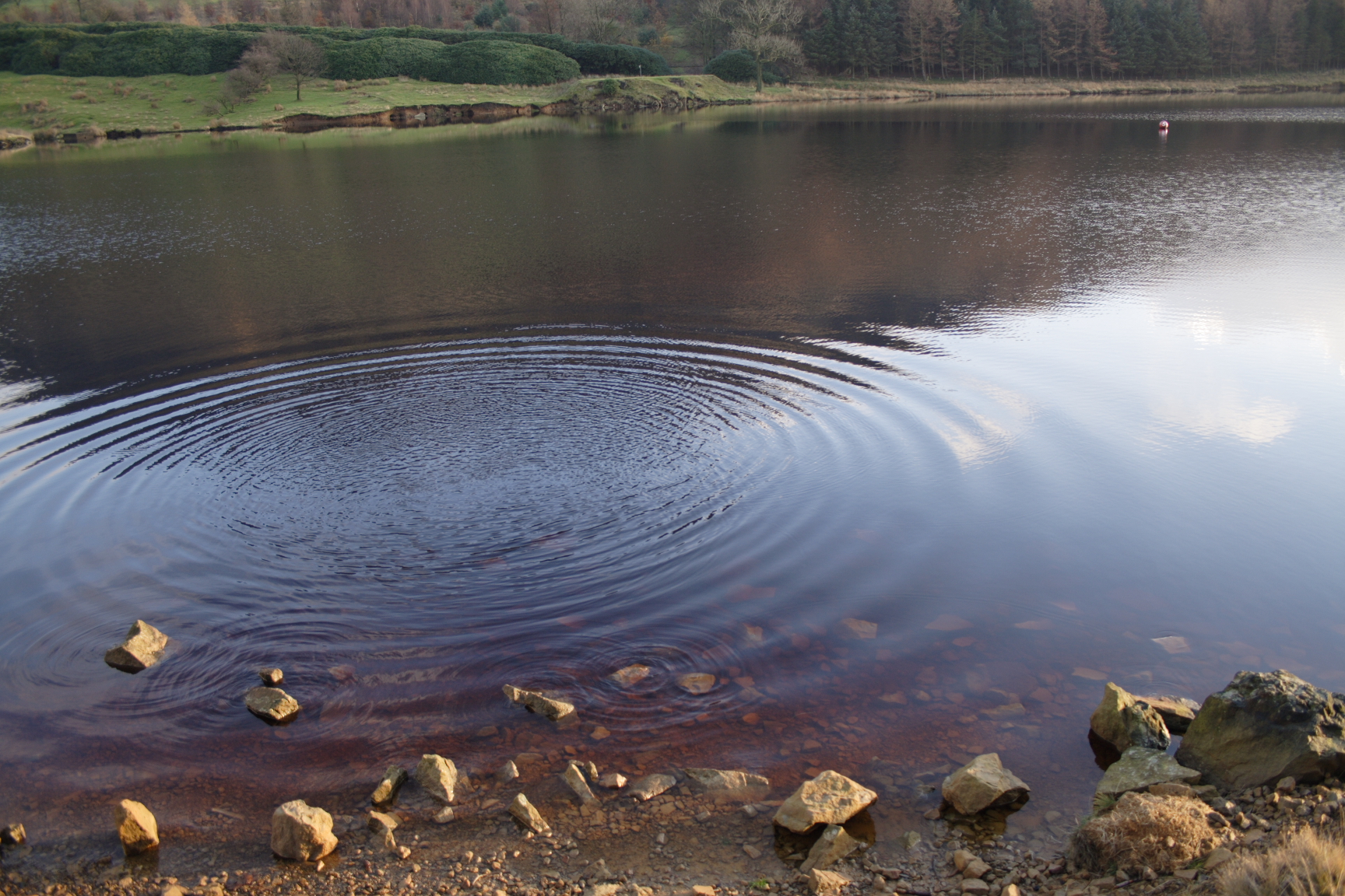 dovestones037