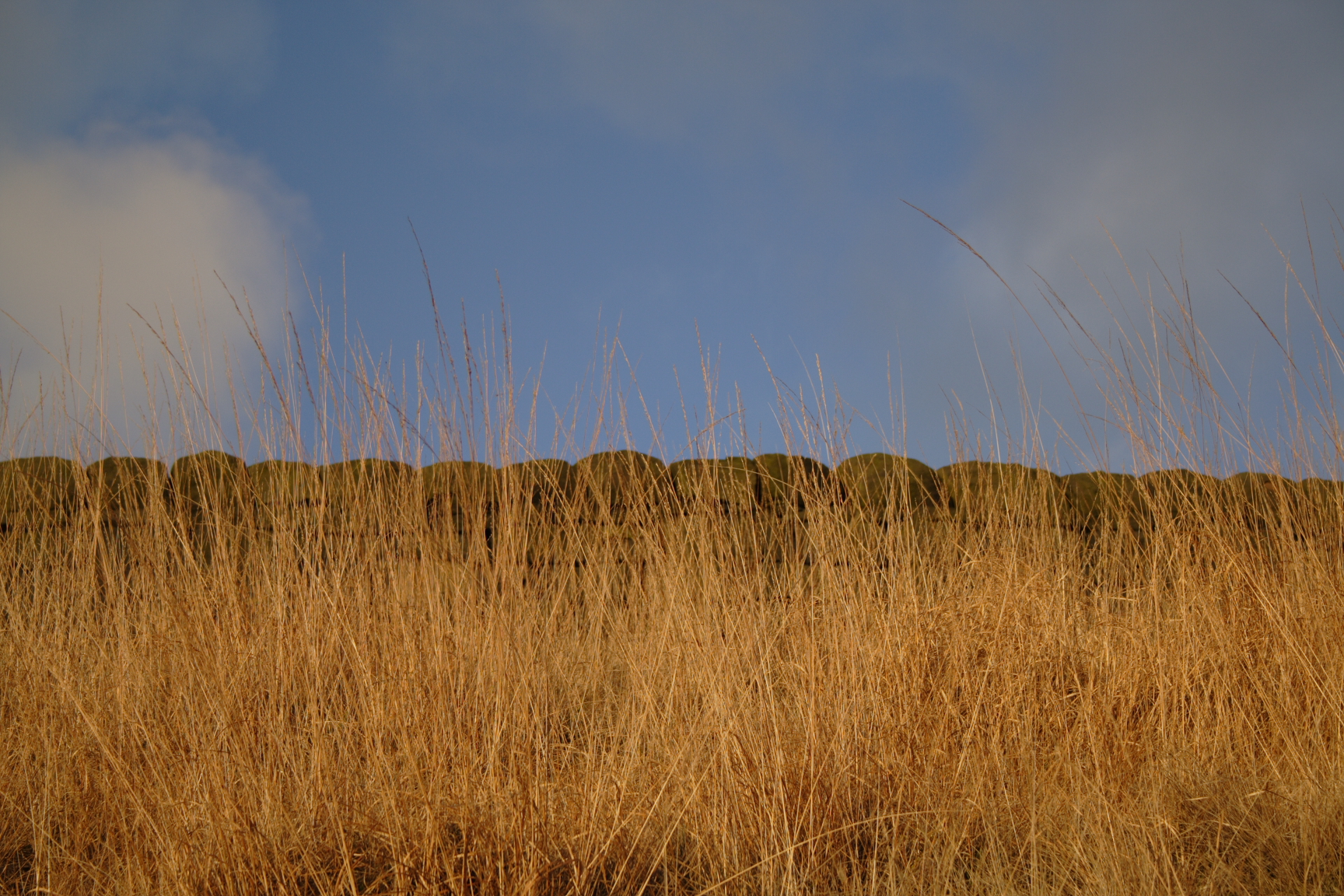 dovestones059