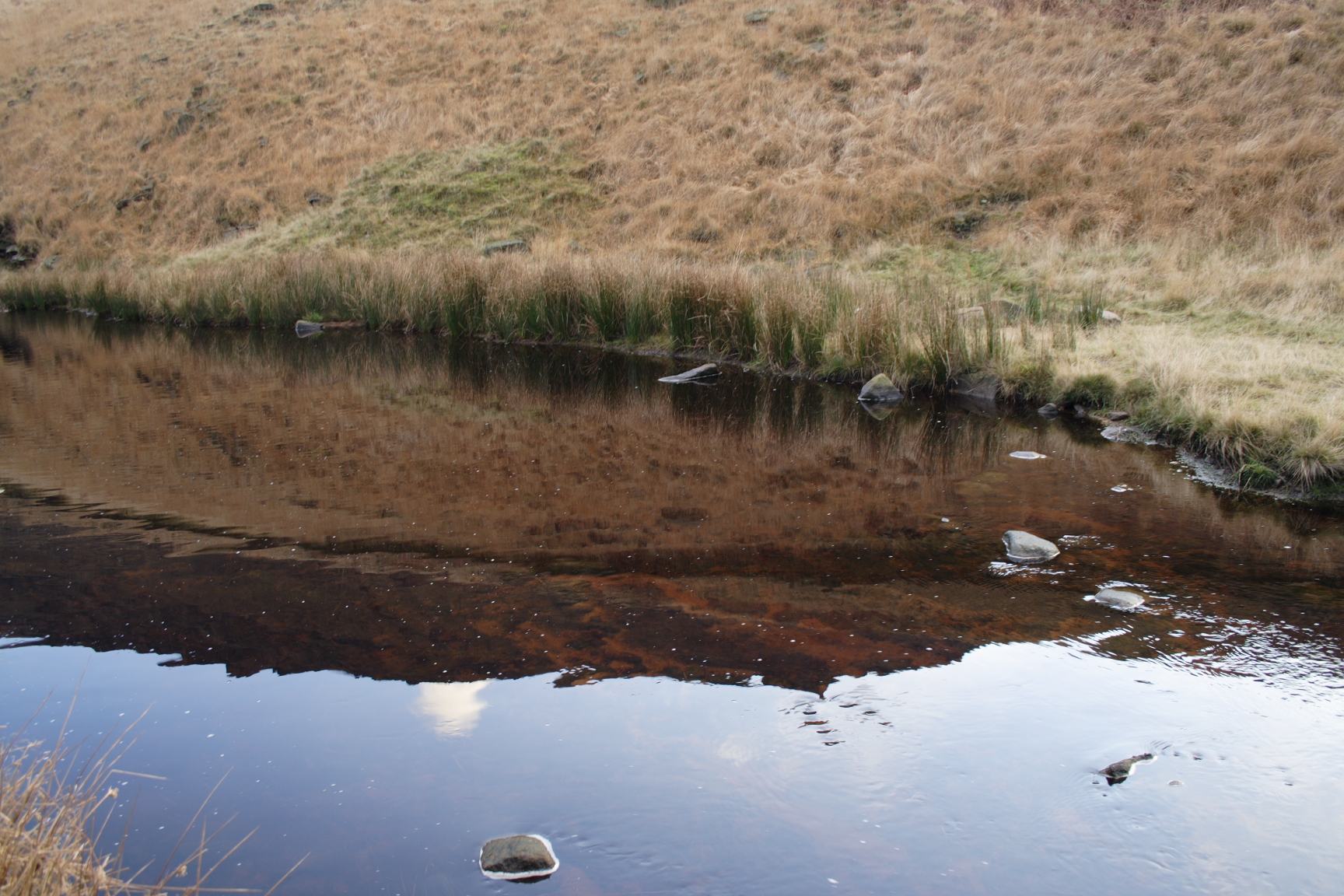 dovestones076